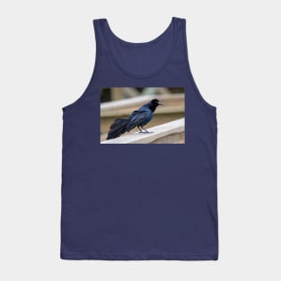 Great Tailed Grackle Shimmers in Iridescent Color Tank Top